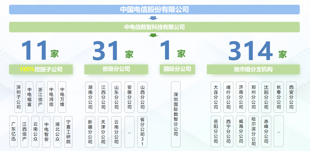 分公司体系建设